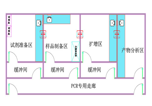 PCR实验室设计方案